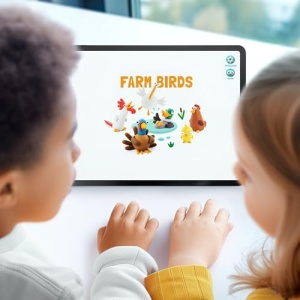 Hey Clay Farm Birds 6 Can Set