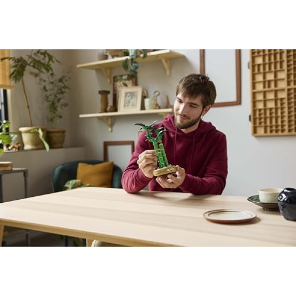 LEGO Botanicals Lucky Bamboo Artificial Plant Set 10344 - Image 8