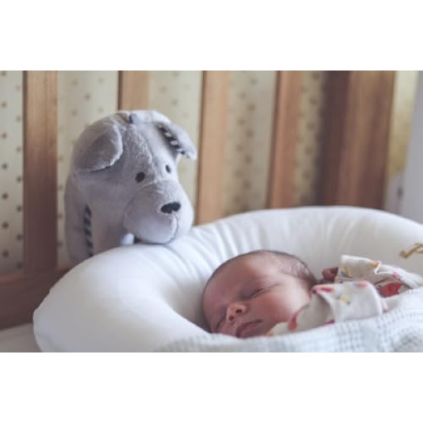 Whisbear Humming Bear with Cry Sensor - Citron - Image 8