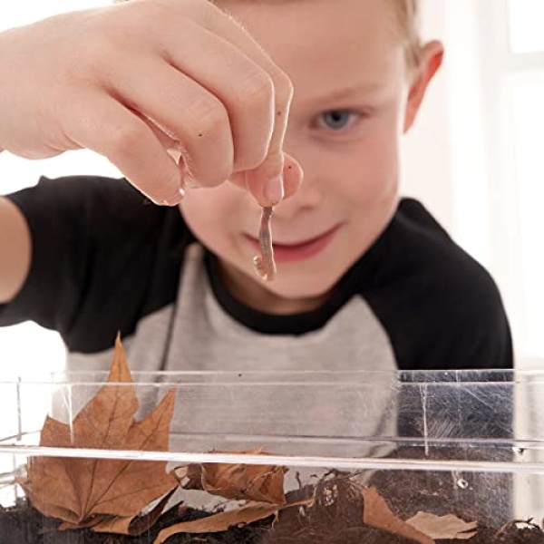 My Living World Worm World. - Image 4