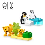 LEGO DUPLO Wild Animal Families: Penguins & Lions Set 10442