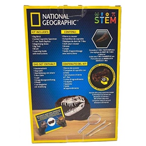 STEM National Geographic Dino Fossil Dig Kit