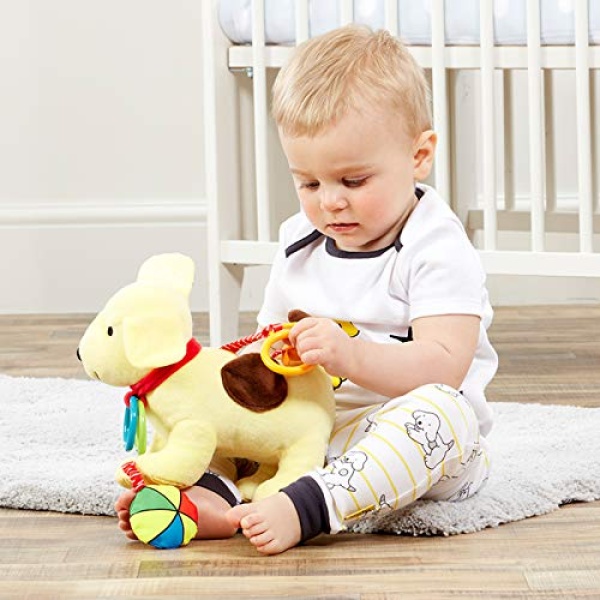 Fun with Spot Activity Toy - Image 4