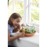 My Fairy Garden Unicorn Garden