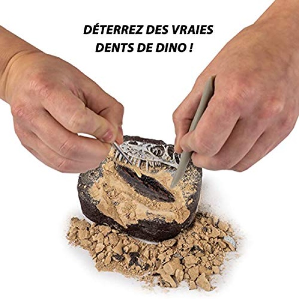 STEM National Geographic Dino Fossil Dig Kit - Image 2