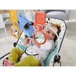 Fisher-Price See & Soothe Deluxe Bouncer