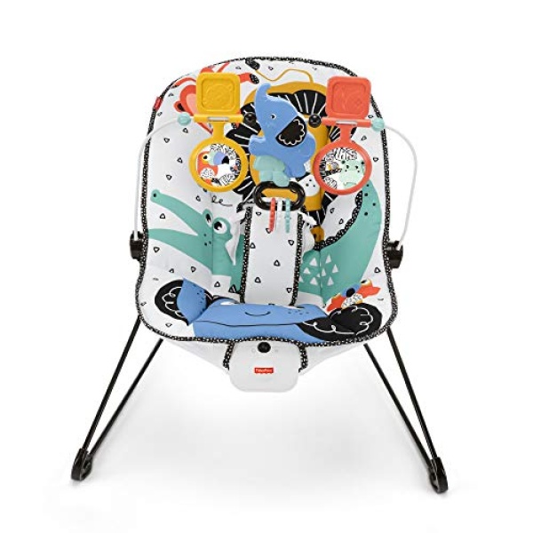 Fisher-Price See & Soothe Deluxe Bouncer - Image 5